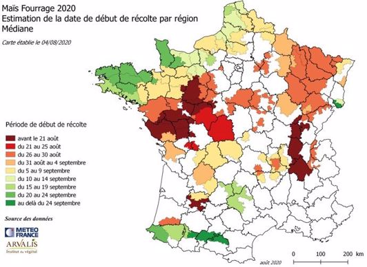 Date des ensilages de maïs 2020 par région selon les prévisions d'Arvalis
