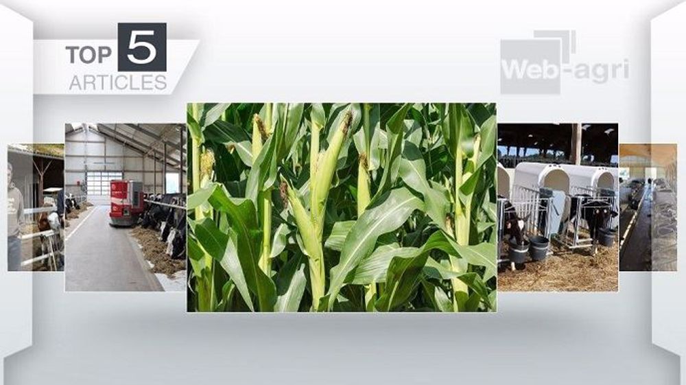 Top articles de Web-agri cette semaine. (©Terre-net Média)