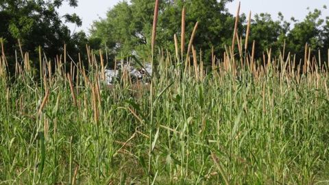 D'ici 2029, l'augmentation de la production agricole mondiale sera surtout liée à l'augmentation de la productivité dans les pays à faibles revenus, comme ici au Burkina Faso (©Terre-net Média)
