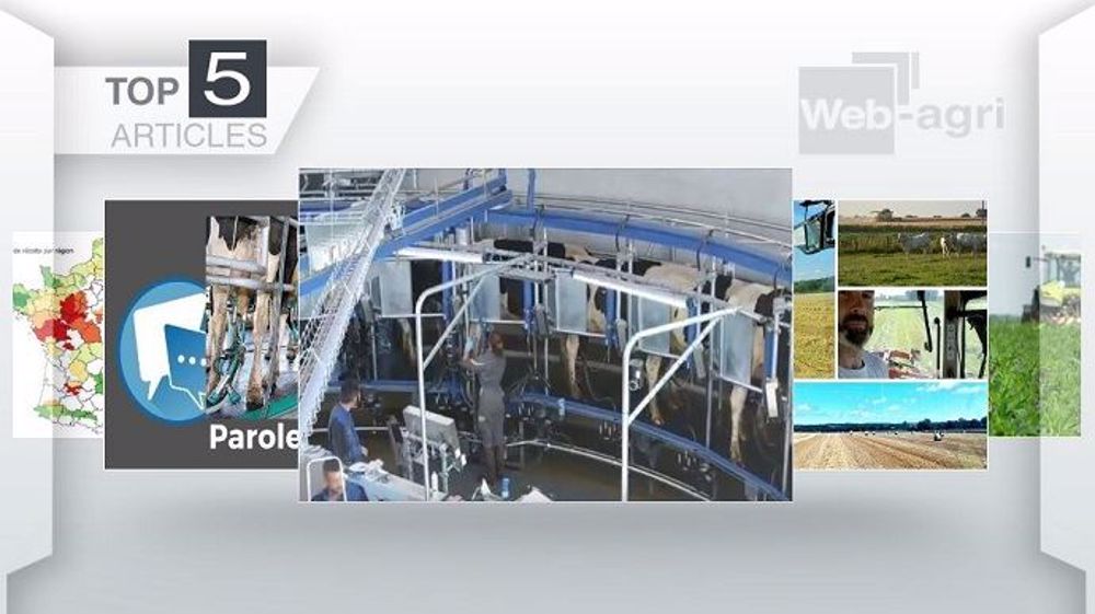 Top articles de Web-agri cette semaine. (©Terre-net Média)