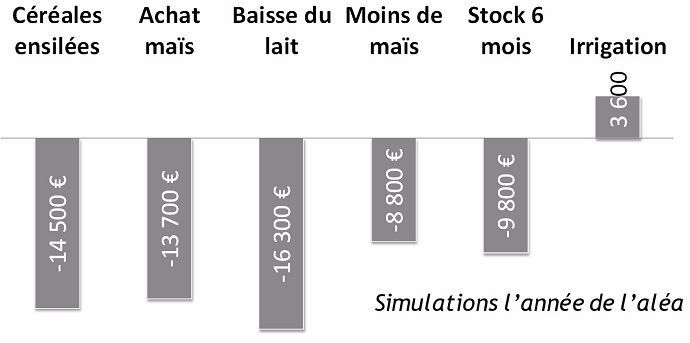 Diagnostic économique Osmose