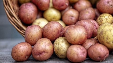 « Les volumes de pommes de terre qui étaient destinés à l’industrie de transformation ont été dégagés vers des débouchés alternatifs de valorisation (alimentation animale, compostage, méthanisation, export...etc.), entraînant de sévères pertes pour l'ensemble des maillons de la filière », déplore le NEPG. (©Pixabay) « Les volumes de pommes de terre qui étaient destinés à l’industrie de transformation ont été dégagés vers des débouchés alternatifs de valorisation (alimentation animale, compostage, méthanisation, export...etc.), entraînant de sévères pertes pour l'ensemble des maillons de la filière », déplore le NEPG. (©Pixabay)