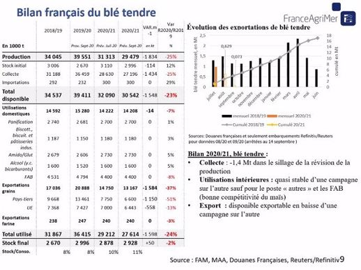 Bilan français du blé tendre