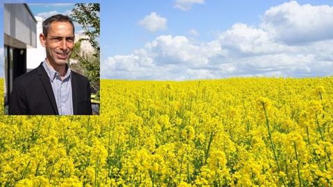 À 43 ans, Gilles Robillard succède à Sébastien Windsor, en tant que président de Terres Inovia. (©Terres Inovia/Pixabay)