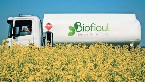 Du biofioul à 30 % d'ester méthylique de colza pourrait progressivement remplacer le fioul domestique. (©FF3C)