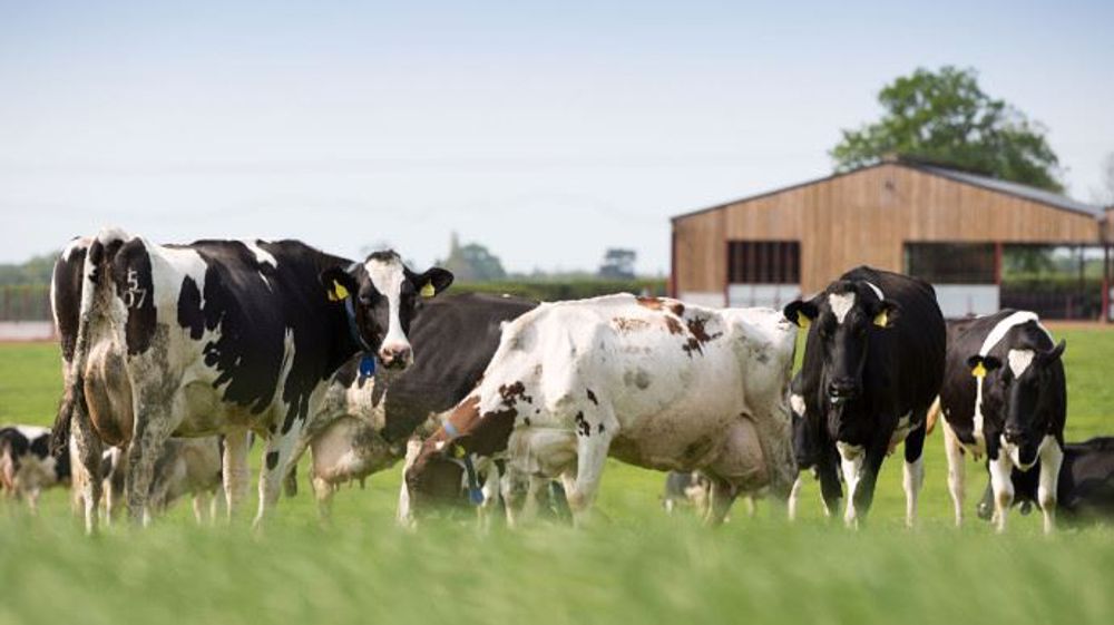 Agripower enregistre 7 % de croissance malgré la crise sanitaire, porté par la transition énergétique. (©Agripower)