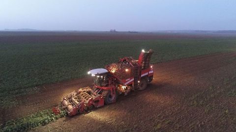 Tereos chiffre à environ 12 % « la perte moyenne de rendement » de ses coopérateurs par rapport à la campagne 2019/20. (©@FarmerSeb/<a href="https://sites.google.com/view/franceagritwittos/banque-dimages?authuser=0" title="Banque d'images FranceAgriTwittos" target="_blank">Banque d'image FranceAgriTwittos</a>)