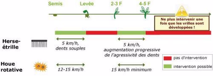 Désherbage mécanique sur pois d'hiver