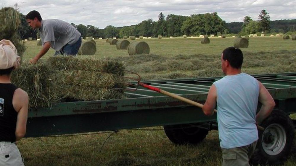 Une convention collective nationale agricole va être signée par tous les partenaires sociaux. (©Pixabay)