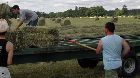 Une convention collective nationale agricole va être signée par tous les partenaires sociaux. (©Pixabay)