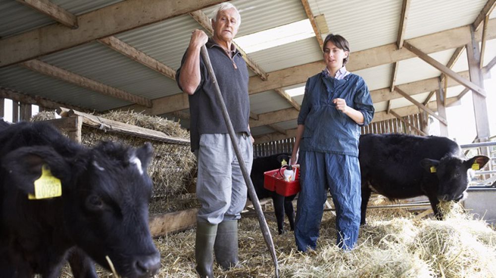 Intégrer un groupement de développement permet d'échanger entre agriculteurs et de progresser ensemble, un avantage indéniable pour les jeunes qui viennent de s'installer. (©Monkey Business, Fotolia)