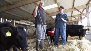 Intégrer un groupement de développement permet d'échanger entre agriculteurs et de progresser ensemble, un avantage indéniable pour les jeunes qui viennent de s'installer. (©Monkey Business, Fotolia) Intégrer un groupement de développement permet d'échanger entre agriculteurs et de progresser ensemble, un avantage indéniable pour les jeunes qui viennent de s'installer. (©Monkey Business, Fotolia)