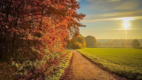 Septembre 2020 a été bien chaud malgré une fin de mois fraîche. (©Pixabay)
