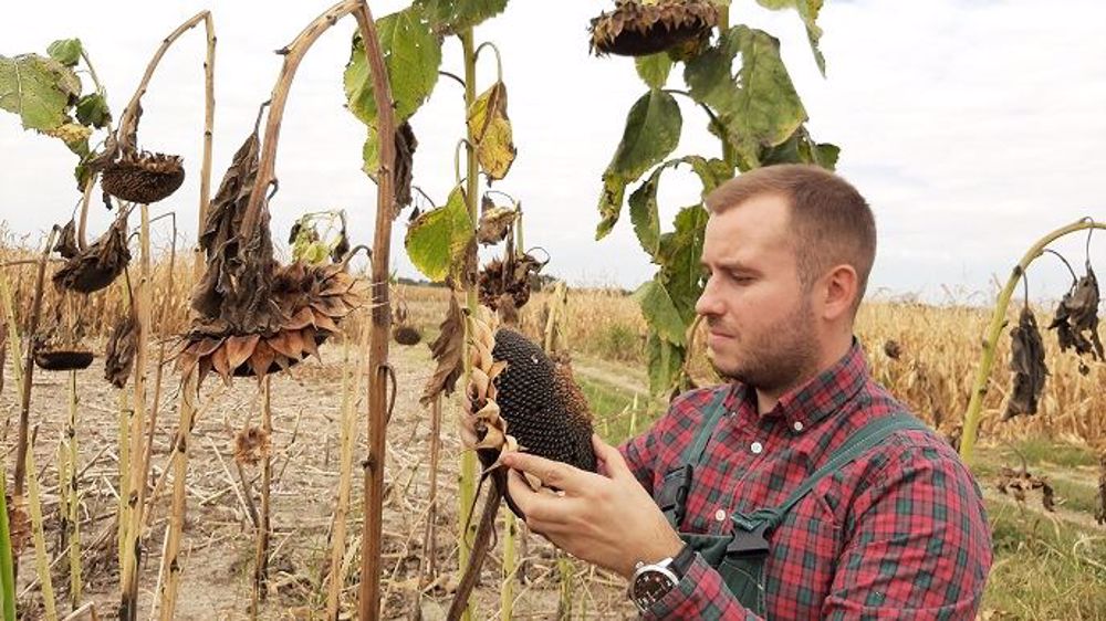 En 2019, le montant moyen de la Dotation jeune agriculteur était d’environ 32 000 €. (©Pixabay)