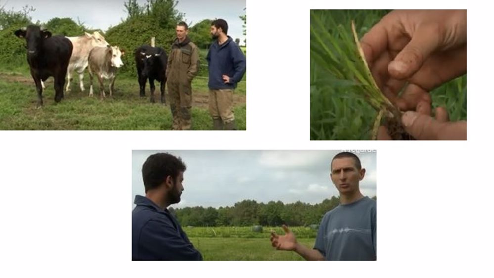  L'objectif des producteurs : tirer parti des bénéfices que s'apportent mutuellement ces différentes espèces d'animaux et végétaux.<strong> </strong>(©Youtube)