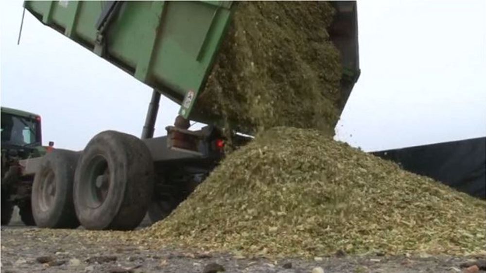 Les résultats de rendements en maïs fourrage 2020 sont mitigés avec 60 % des éleveurs qui font moins de 14 t MS/ha cette année. (©Terre-net Média)