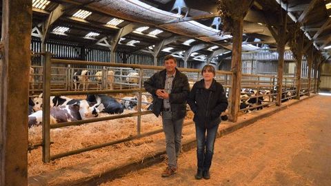Véronique et Denis Macé ont réorganisé leur bâtiment en démontant les logettes pour faire des parcs pour les génisses. (©Terre-net Média) Véronique et Denis Macé ont réorganisé leur bâtiment en démontant les logettes pour faire des parcs pour les génisses. (©Terre-net Média)
