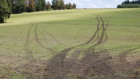 Un sol peut être compacté suite à un fort piétinement ou au passage d'engins en conditions humides. (©AFPF)