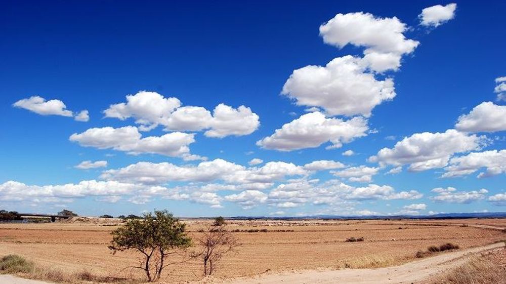 Les pluies restent rares sur une bonne partie des blés russes (©PixaBay)