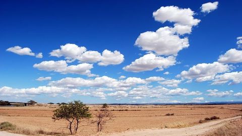 Les pluies restent rares sur une bonne partie des blés russes (©PixaBay)