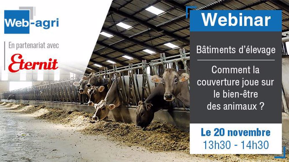 <a href="https://attendee.gotowebinar.com/register/3575383526477701388?source=art" title="Inscription au webinaire" target="_blank">Inscrivez-vous au webinaire Web-agri/Eternit</a> sur la couverture des bâtiments d'élevage et le bien-être animal. (©La Factory)