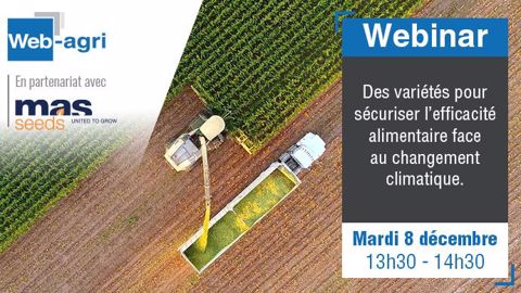 <a href="https://register.gotowebinar.com/register/222366742169810191?source=art" title="Inscription au webinaire" target="_blank">Inscrivez-vous au webinaire</a> dédié à l'enjeu de récolter son maïs au bon stade. (©Terre-net Média)