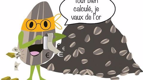 Selon Terres Inovia, le tournesol affiche une bonne régularité de la marge dans le temps. (©N. Harel)