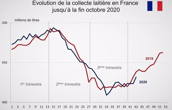 Collecte laitière française
