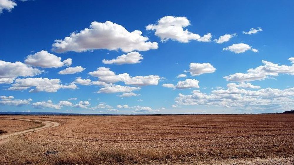 Une bonne partie des blés russes nécessitent davantage de précipitations. (©PixaBay)