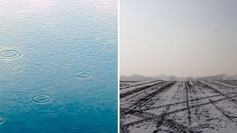 Pluies bénéfiques au blé en Amérique versus froid préjudiciable en Russie. (©Pixabay // Création Terre-net Média)