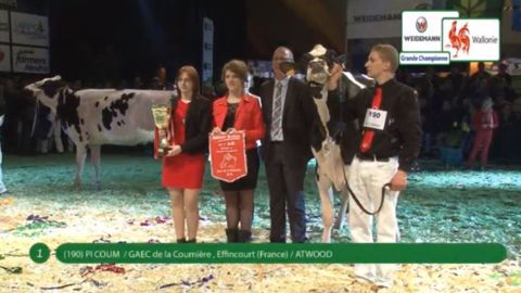 20ème Nuit de la Holstein : la France au top !