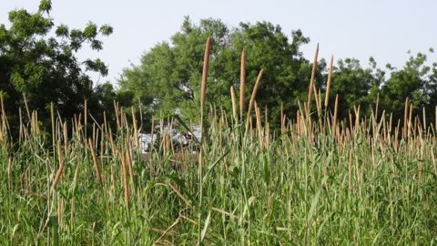 L'accès aux terres agricoles dans le monde est de plus en plus inégal, indique l'ILC. (©Terre-net Média)