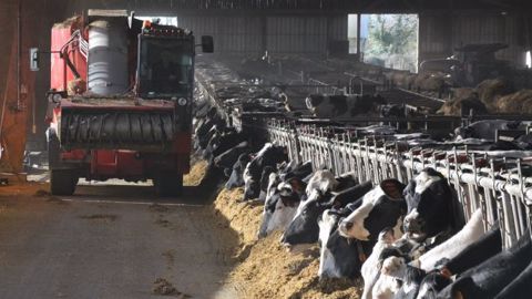 Opter pour une Cuma de désilage permet un gain de temps non négligeable. Côté prix de revient, compter 15 à 16 €/1 000 l de lait contre 20-30 €/1 000 l en individuel. (©Terre-net Média) Opter pour une Cuma de désilage permet un gain de temps non négligeable. Côté prix de revient, compter 15 à 16 €/1 000 l de lait contre 20-30 €/1 000 l en individuel. (©Terre-net Média)