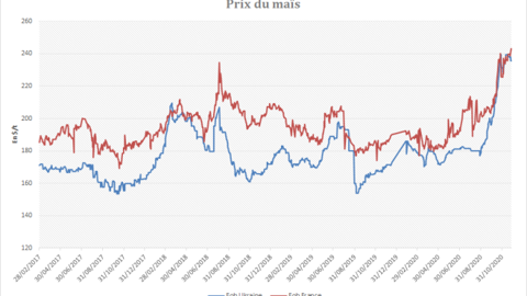 Prix du maïs