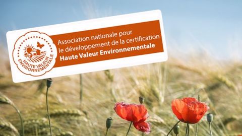 L'association nationale pour le développement de la certification HVE répond à la Confédération paysanne dans une lettre ouverte. (©Terre-net Média/Pixabay)