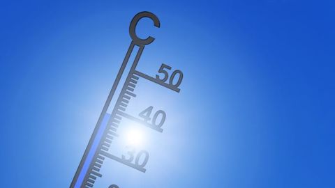 Les mesures proposées par la convention citoyenne pour le climat ne seraient pas reprises telles quelles dans le projet de loi. (©Pixabay)