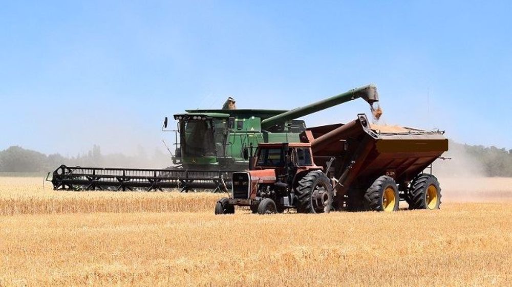 En 2020-2021, l'Argentine récolterait 3 Mt de moins que la campagne précédente. (©Pixabay)