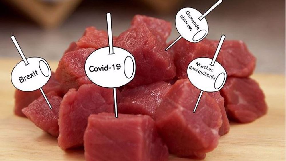 En 2020, le marché français de la viande bovine a été chamboulé par la pandémie de coronavirus, qui a perturbé les équilibres de marché. (©Terre-net Média)