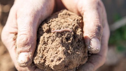 Selon Gaïago, « en restaurant les fonctions vitales des sols, les agriculteurs sont mieux préparés pour faire face aux effets du dérèglement climatique, aux différentes problématiques des cultures et peuvent cultiver plus avec moins d’intrants ». (©Pour une Agriculture du Vivant)