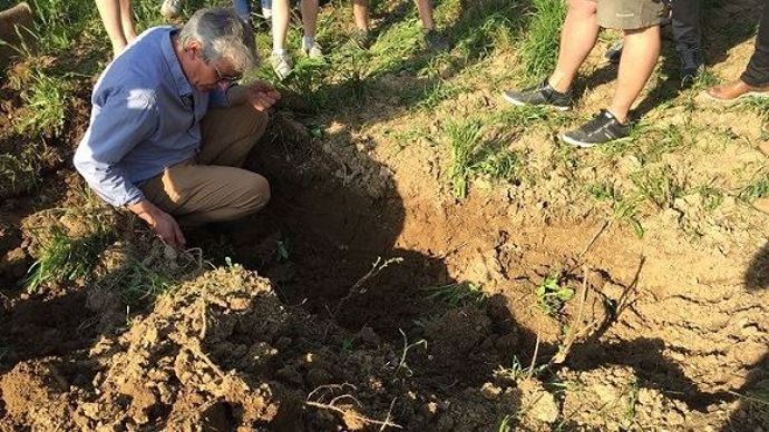Michel Galmel, sur l'une de ses parcelles à Tilly dans l'Eure.
