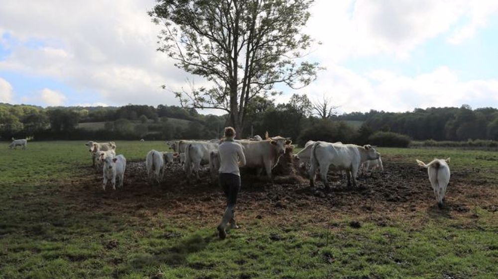 Émilie Jeannin travaille sur ce projet d'abattoir mobile depuis plusieurs années (©Le bœuf éthique)
