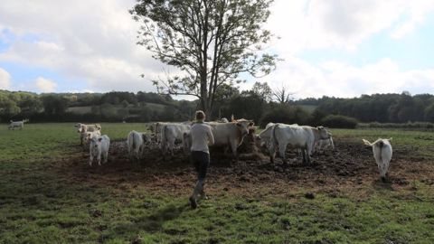 Émilie Jeannin travaille sur ce projet d'abattoir mobile depuis plusieurs années (©Le bœuf éthique) Émilie Jeannin travaille sur ce projet d'abattoir mobile depuis plusieurs années (©Le bœuf éthique)