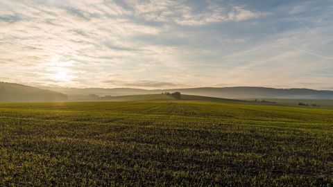 Céréalier dans le Calvados, Gaylord Couture s'est engagé dans cette initiative notamment pour communiquer sur ses pratiques auprès du grand public. (©Pixabay) Céréalier dans le Calvados, Gaylord Couture s'est engagé dans cette initiative notamment pour communiquer sur ses pratiques auprès du grand public. (©Pixabay)