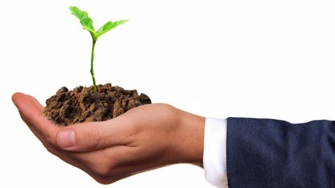 Quels leviers pour valoriser le stockage de carbone en agriculture ? (©Pixabay)