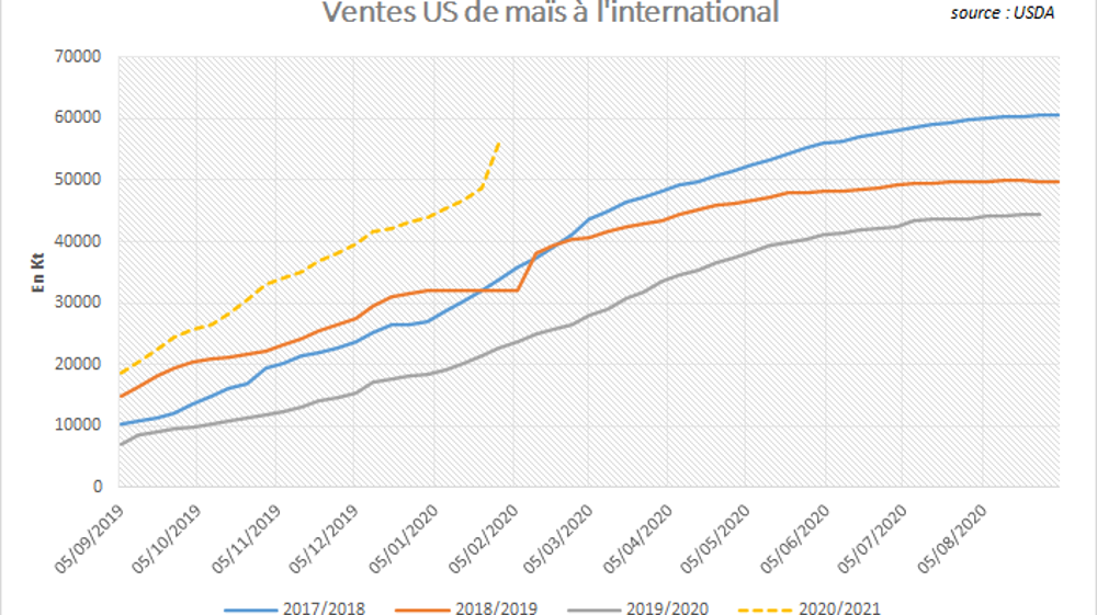Ventes américaines hebdomadaires de maïs à l'international.