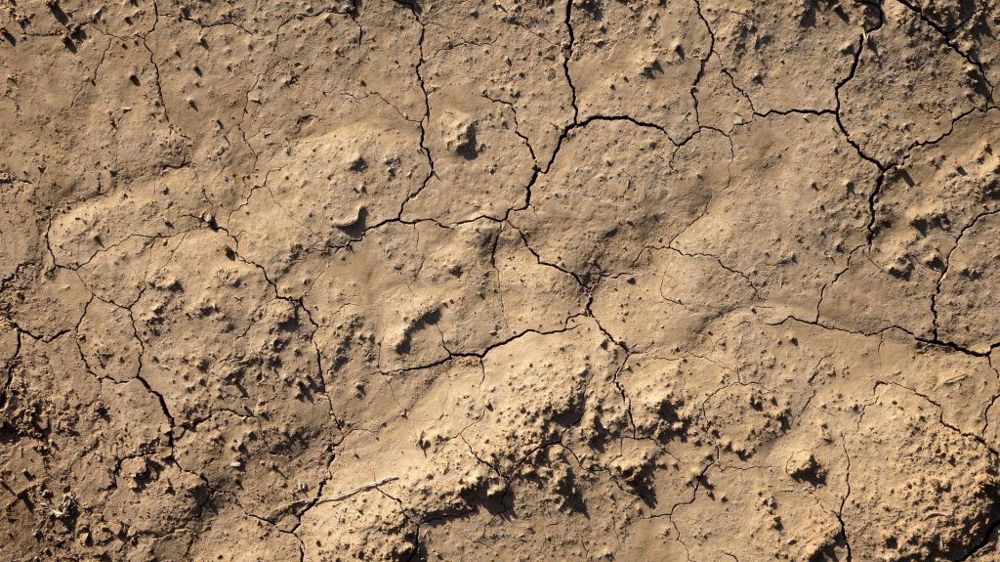 Souscrire une assurance multirisque climatique pour faire face aux aléas climatiques. (©Jean-Pierre Pellissier de Pixabay)