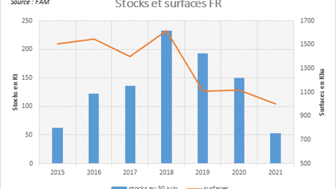 Stocks et surfaces de colza en France.