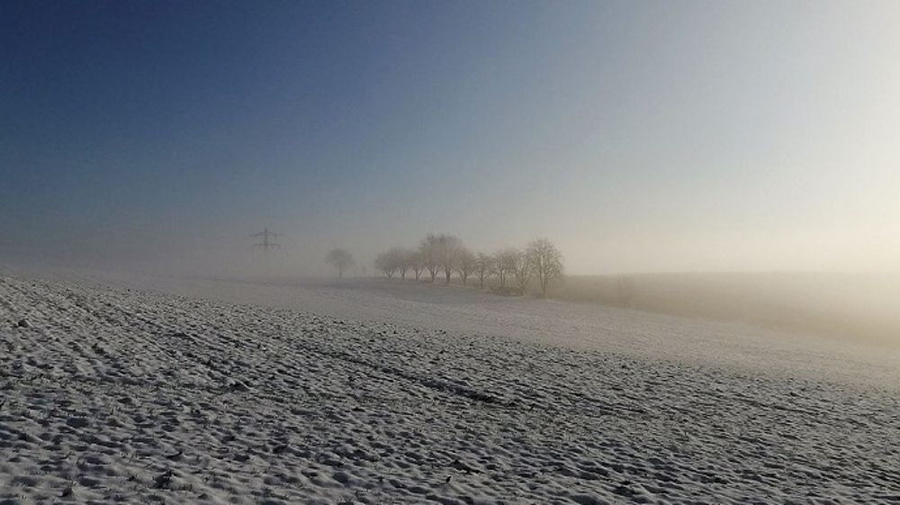 Une vague de froid s'abat sur les cultures américaines. (©PixaBay)