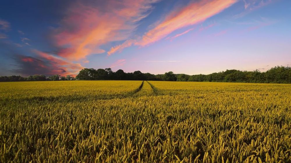 Si la ferme ne peut pas se rendre à la ville cette année, la ville est invitée à venir fouler la cour de ferme. (©Pete Linforth de Pixabay)
