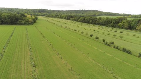Le CGA a dévoilé, le 17 février dernier, les lauréats en lice pour le concours des pratiques agroécologiques. (©Patrick C./<a href="https://franceagritwittos.com/index.php/banque-image/" title="Banque d'images FranceAgriTwittos" target="_blank">Banque d'image FranceAgriTwittos</a>) Le CGA a dévoilé, le 17 février dernier, les lauréats en lice pour le concours des pratiques agroécologiques. (©Patrick C./<a href="https://franceagritwittos.com/index.php/banque-image/" title="Banque d'images FranceAgriTwittos" target="_blank">Banque d'image FranceAgriTwittos</a>)
